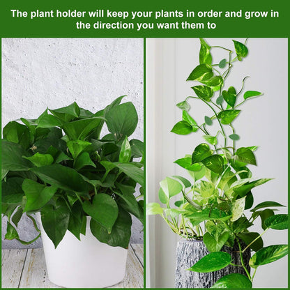 60 Plant Climbing Clips Wall Fixture with 72 Stickers for Vine