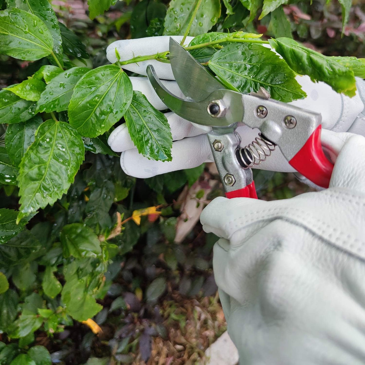 Gardening Gloves for Women Men, Long Thorn Proof Rose Pruning Glove
