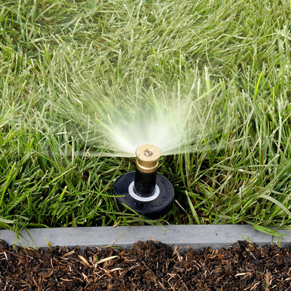 80330 2" Professional Series Adjustable Pressure-Regulating Spray Sprinkler Body with Brass 15' x 5' Center-Strip Pattern Nozzle