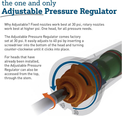 80330 2" Professional Series Adjustable Pressure-Regulating Spray Sprinkler Body with Brass 15' x 5' Center-Strip Pattern Nozzle