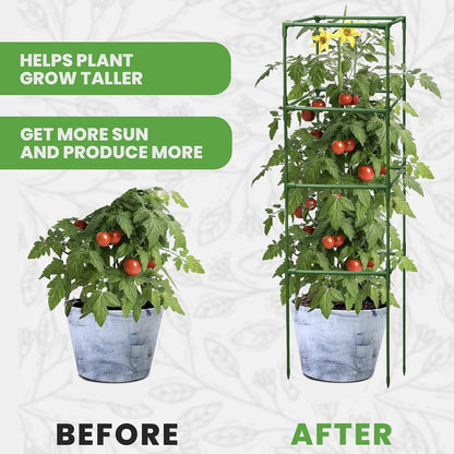 3 Pack 41" Square Tomato Cages for Garden - Large Tomato Trellis Stakes