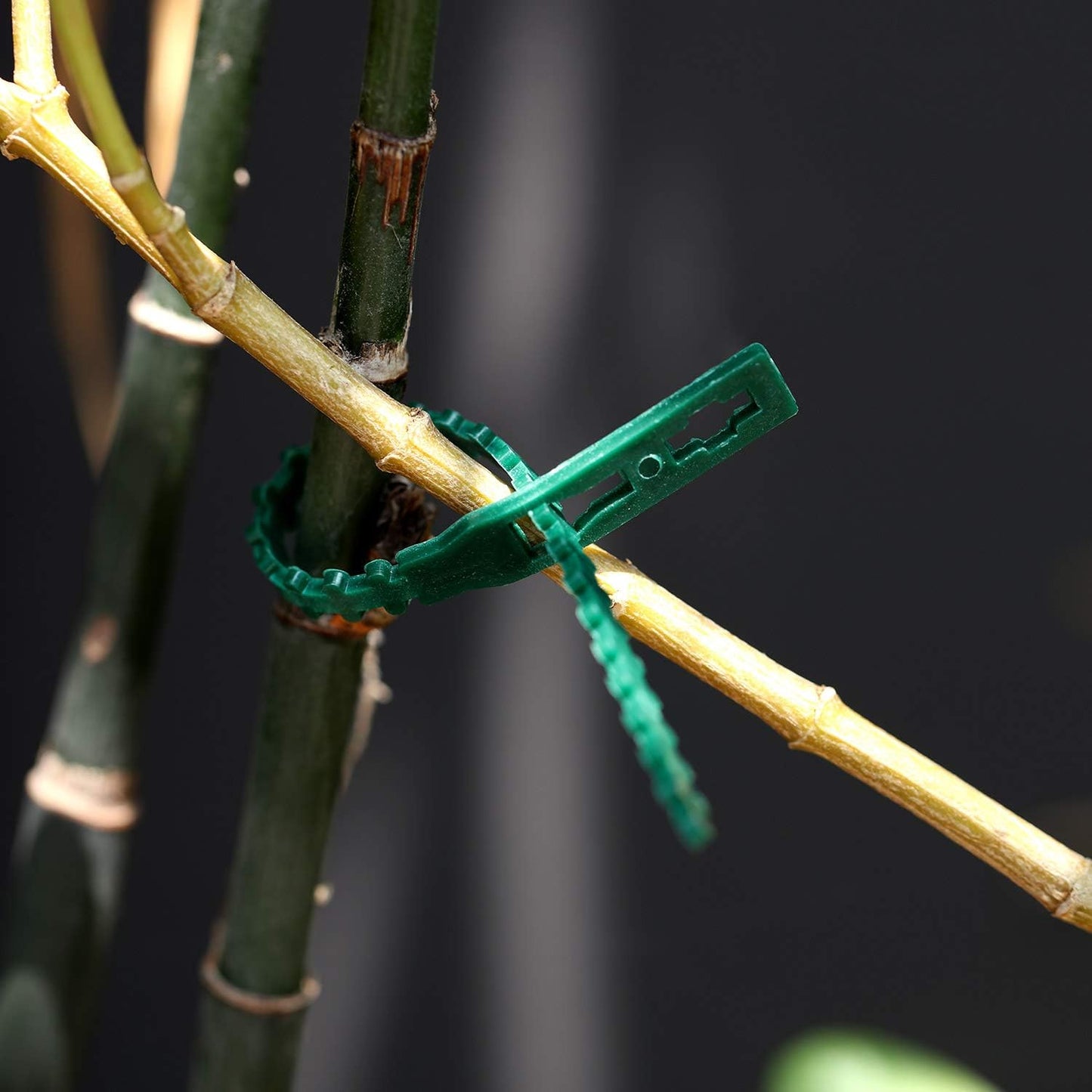 WILLBOND 200 Pieces Adjustable Plant Ties Flexible Garden Plant Ties, Green Multi-Function Sturdy Garden Plant Twist Tie Plastic Garden Ties Plant Support Tree Shrub (13 and 23 cm, Cable Tie)