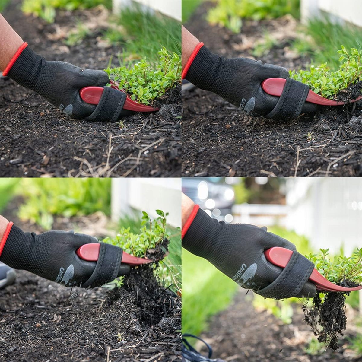 Garden Hand Cultivator Includes 2 Pairs of Spandex Gardening Gloves - ergonomically Designed to rake, dig, Weed, Plant, Aerate and Cultivate Vegetable and Flower beds (Small)