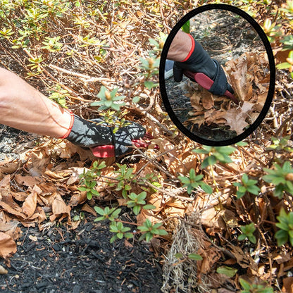 Garden Hand Cultivator Includes 2 Pairs of Spandex Gardening Gloves - ergonomically Designed to rake, dig, Weed, Plant, Aerate and Cultivate Vegetable and Flower beds (Small)