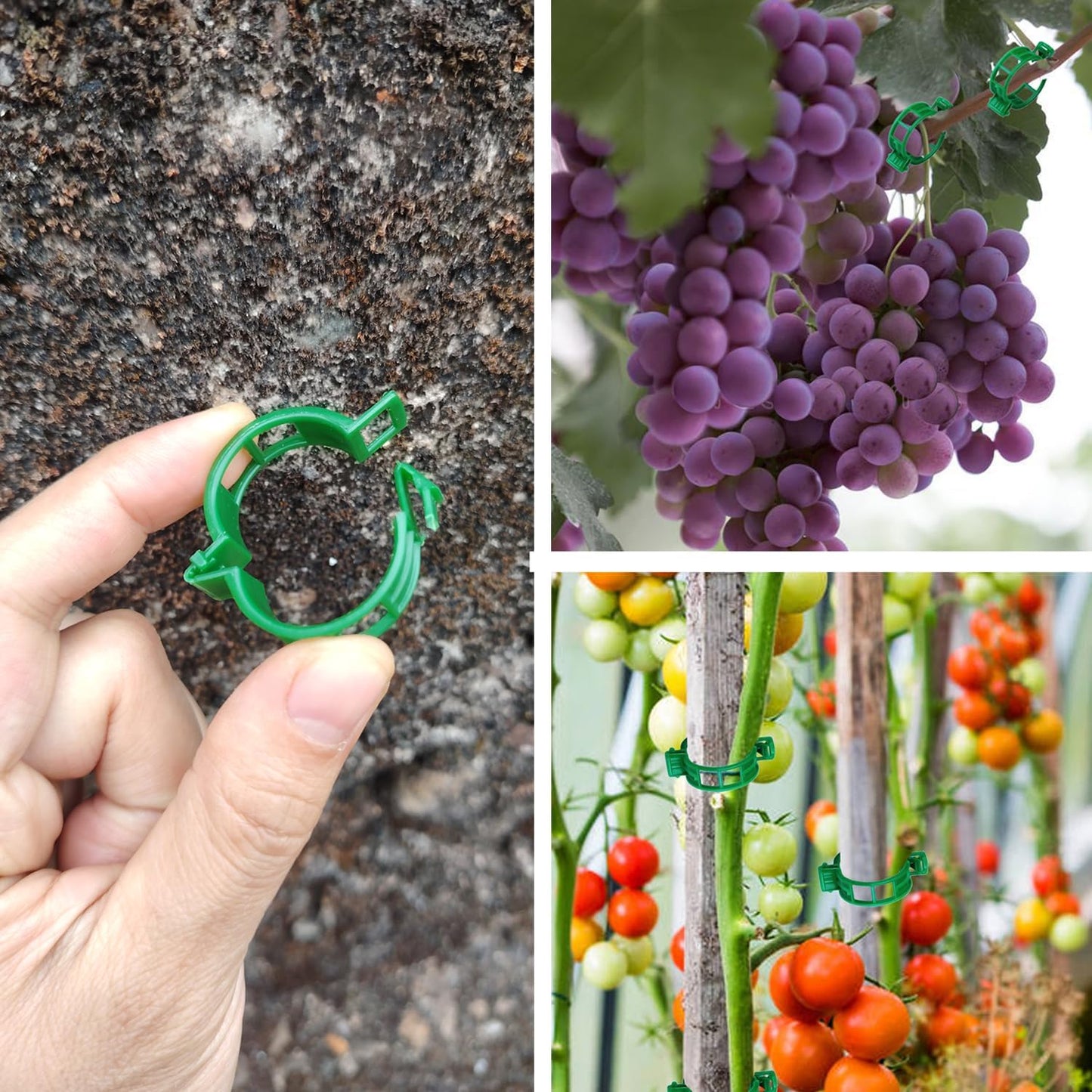 Plant Support Clips, 100 Pcs Tomato Clips, Plastic Trellis Clips, Grape Vine Tomato Vine Vegetables Plants Garden Support Clips to Grow Upright Makes Plants Healthier