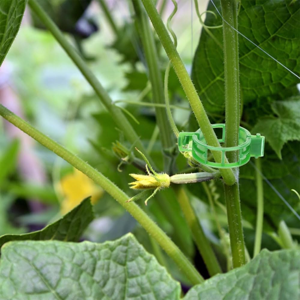 Plant Support Clips, 100 Pcs Tomato Clips, Plastic Trellis Clips, Grape Vine Tomato Vine Vegetables Plants Garden Support Clips to Grow Upright Makes Plants Healthier