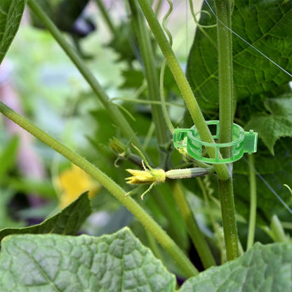 Plant Support Clips, 100 Pcs Tomato Clips, Plastic Trellis Clips, Grape Vine Tomato Vine Vegetables Plants Garden Support Clips to Grow Upright Makes Plants Healthier
