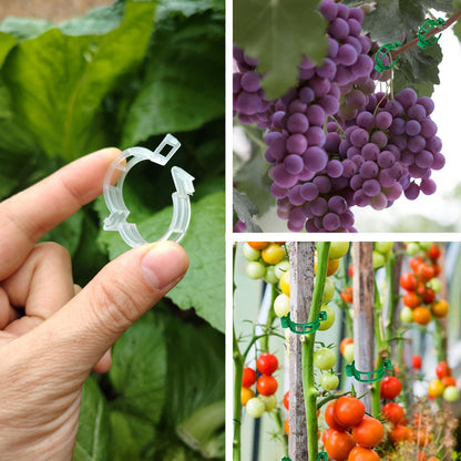 Plant Support Clips, 100 Pcs Tomato Clips, Plastic Trellis Clips, Grape Vine Tomato Vine Vegetables Plants Garden Support Clips to Grow Upright Makes Plants Healthier