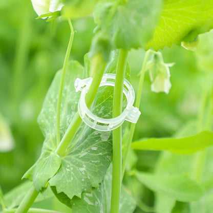 Plant Support Clips, 100 Pcs Tomato Clips, Plastic Trellis Clips, Grape Vine Tomato Vine Vegetables Plants Garden Support Clips to Grow Upright Makes Plants Healthier