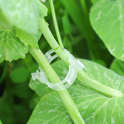 Plant Support Clips, 100 Pcs Tomato Clips, Plastic Trellis Clips, Grape Vine Tomato Vine Vegetables Plants Garden Support Clips to Grow Upright Makes Plants Healthier