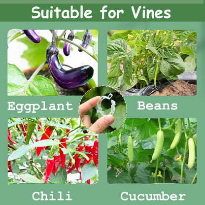 Plant Support Clips, 100 Pcs Tomato Clips, Plastic Trellis Clips, Grape Vine Tomato Vine Vegetables Plants Garden Support Clips to Grow Upright Makes Plants Healthier
