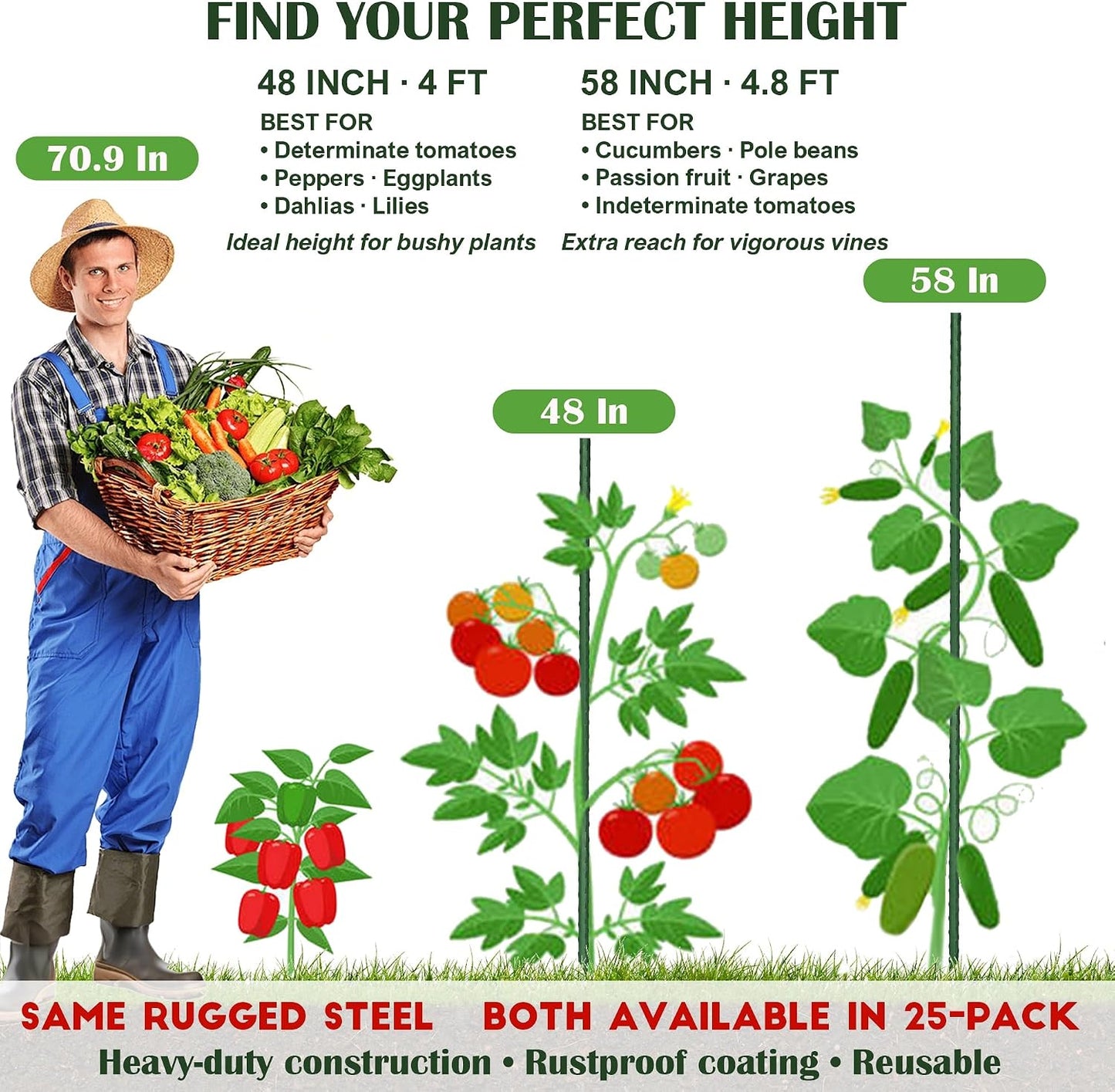 FORUP Garden Stakes, 25 Pack Steel Plant Stakes with Plastic Coating for Climbing Plants, Tomato Eggplant Bean Support, Rust-Resistant Outdoor Garden Stakes (58 Inch)