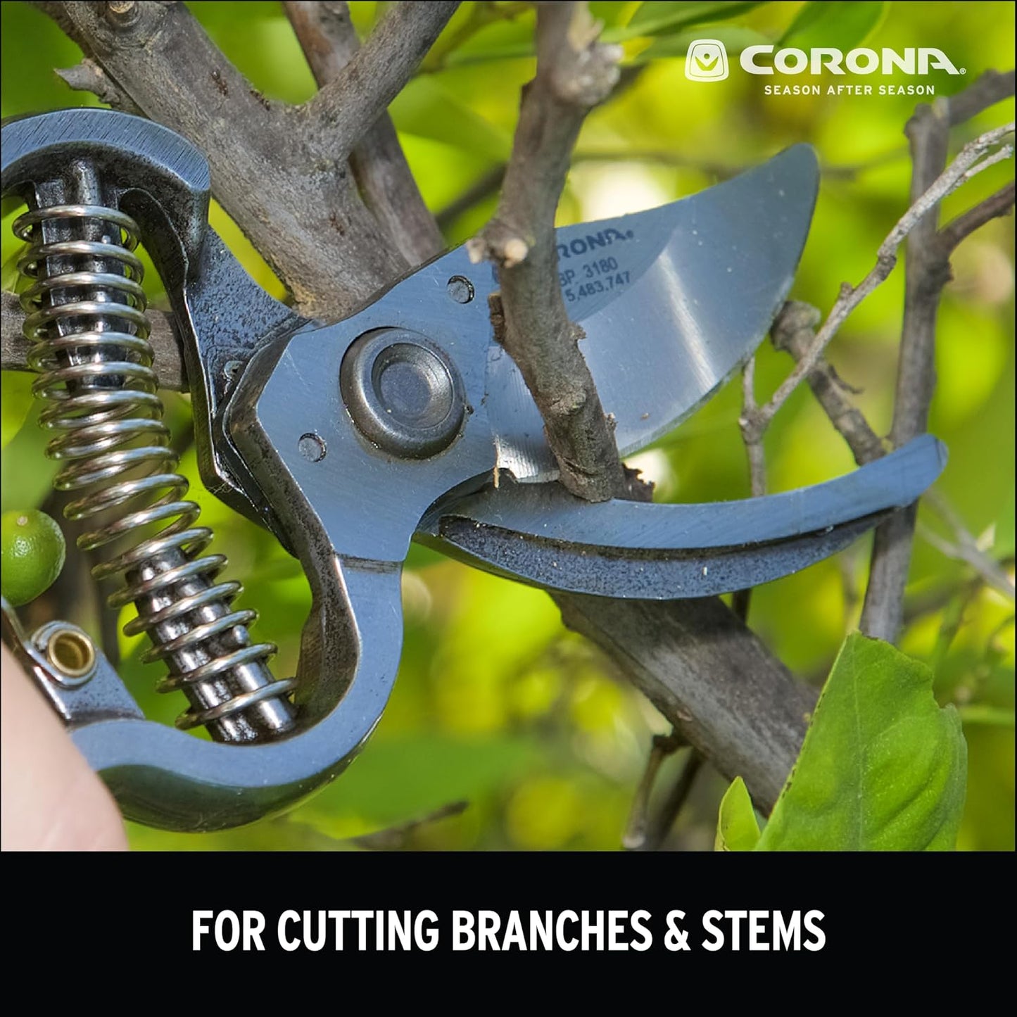 Corona BP 3180D Forged Classic Bypass Pruner with 1" Cutting Capacity, 1", Red