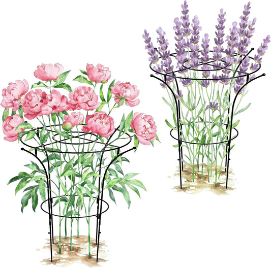 2 Pack Metal Peony Plant Support Cage, 32.2 x 19.2 Inch with Wide Top Ring