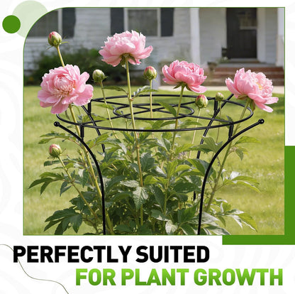 2 Pack Metal Peony Plant Support Cage, 32.2 x 19.2 Inch with Wide Top Ring