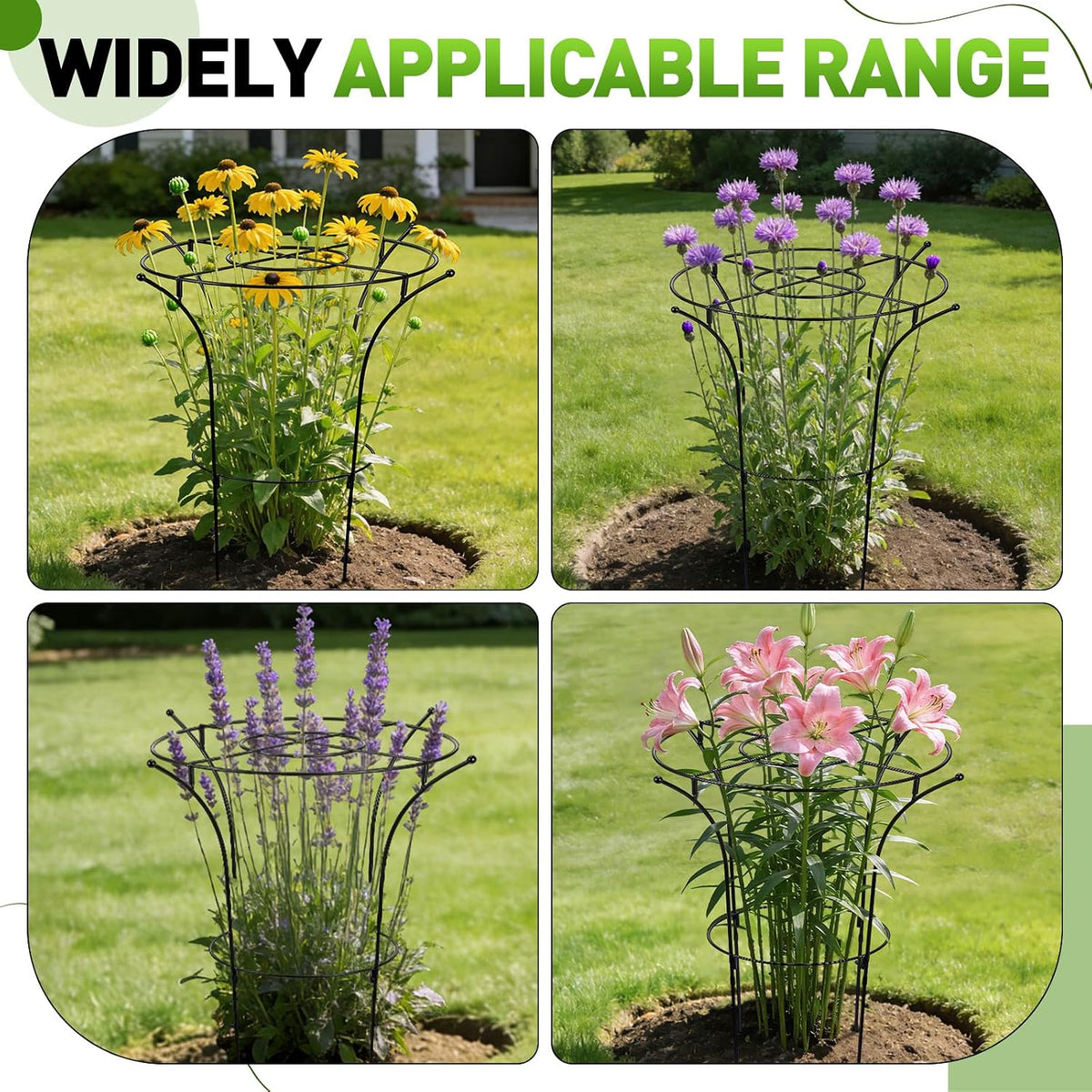 2 Pack Metal Peony Plant Support Cage, 32.2 x 19.2 Inch with Wide Top Ring