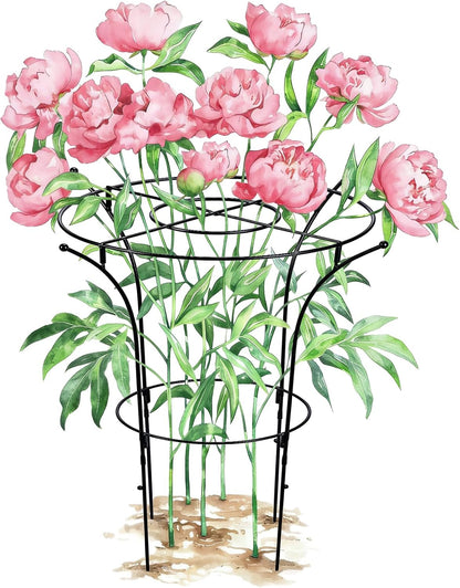 2 Pack Metal Peony Plant Support Cage, 32.2 x 19.2 Inch with Wide Top Ring