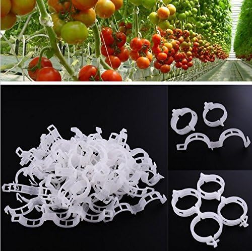Plant Support Garden Clips,Tomato Vine Clips,Tomato Trellis Clips 200 Pcs for Vine Vegetables Tomato to Grow Upright and Makes Plants Healthier