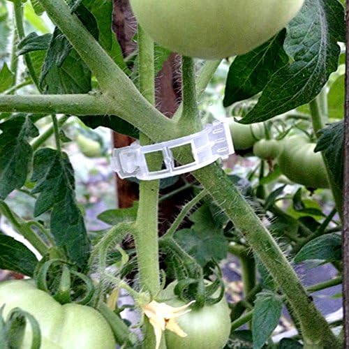 Plant Support Garden Clips,Tomato Vine Clips,Tomato Trellis Clips 200 Pcs for Vine Vegetables Tomato to Grow Upright and Makes Plants Healthier