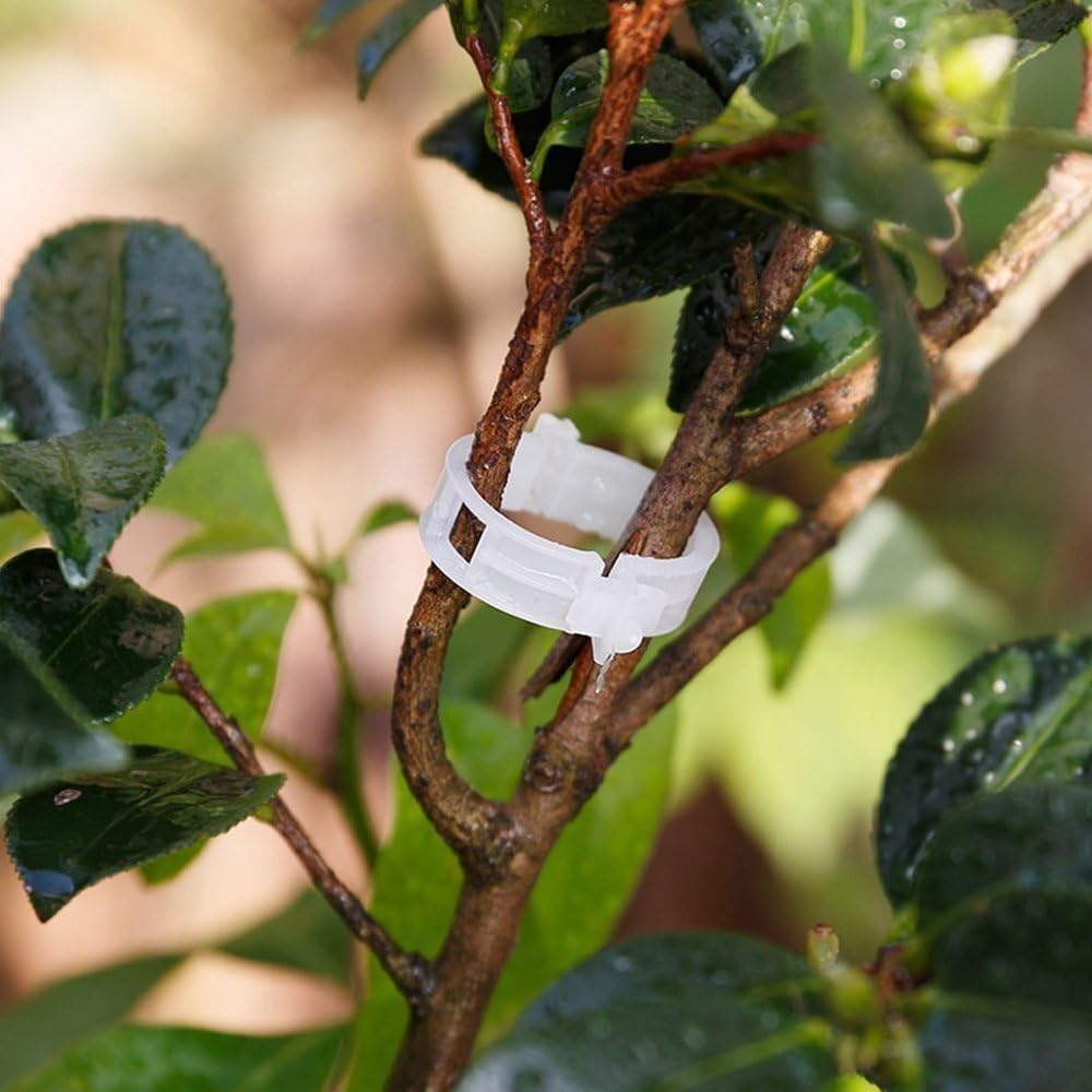 Plant Support Garden Clips,Tomato Vine Clips,Tomato Trellis Clips 200 Pcs for Vine Vegetables Tomato to Grow Upright and Makes Plants Healthier