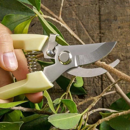 Garden Scissors for Plant, Tip Pruning Shears for Cutting Flowers, Trimming Plants, Bonsai and Fruits Picking
