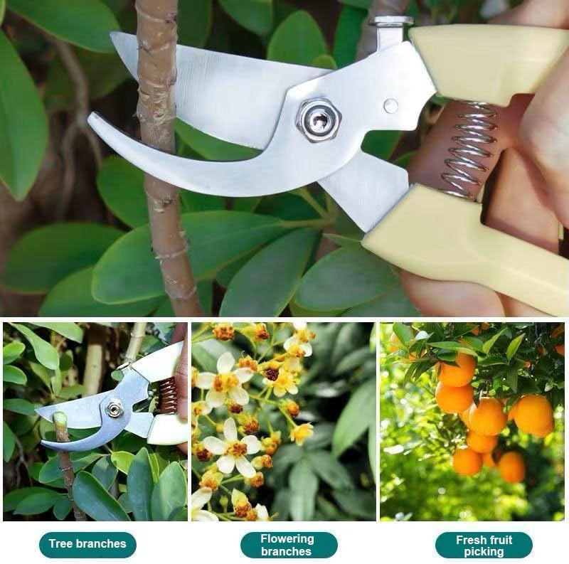 Garden Scissors for Plant, Tip Pruning Shears for Cutting Flowers, Trimming Plants, Bonsai and Fruits Picking