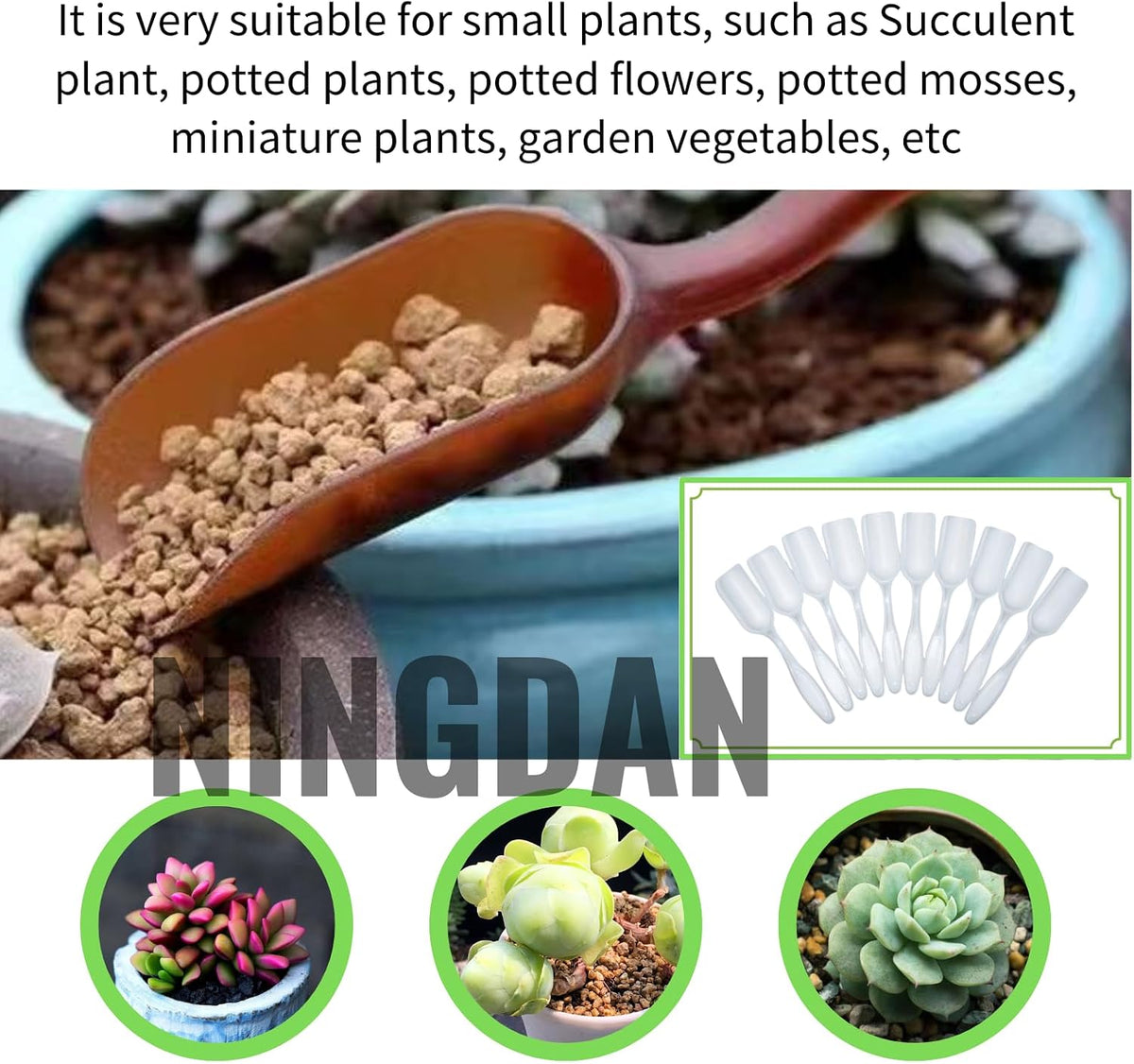 10Pcs Mini Shovel,Plastic Mini Gardening Shovel Spoons Soil Scoops,Cultivation Digging Transplanting Tools for Succulents Potted Flowers,Milk Powder/Coffee Beans Scoops (5 Colors)