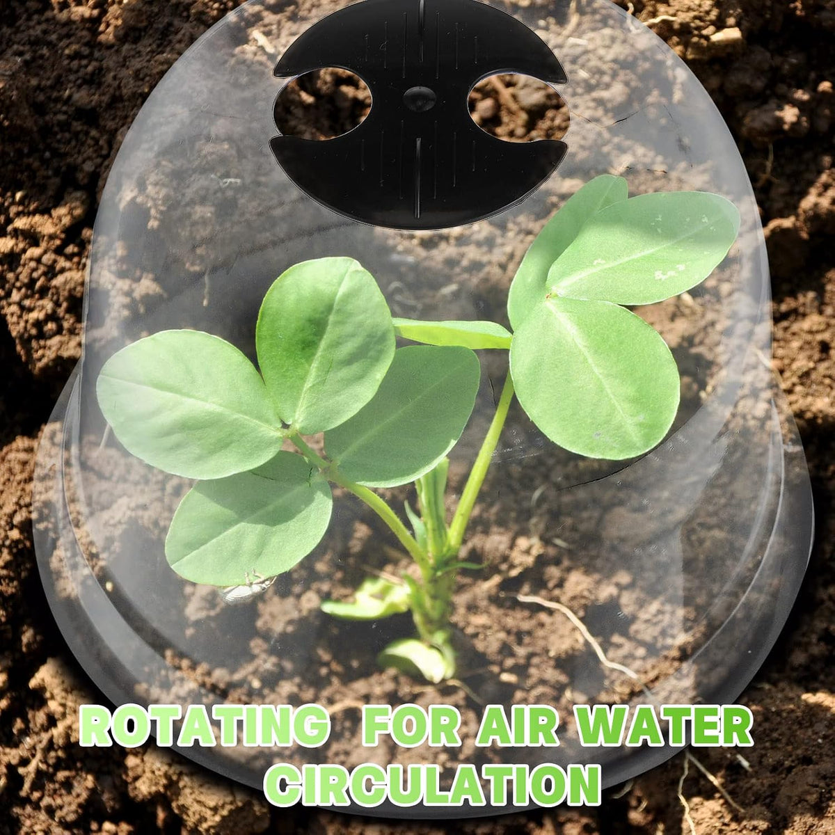 20 Pack Garden Cloches for Plants Clear Bell Covers 7.3x6.7 Inch