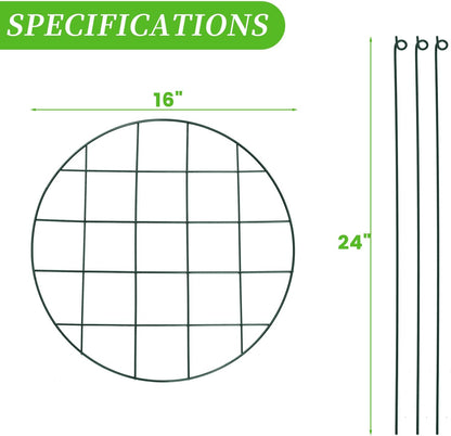 12 Pack Peony Cages and Supports 16 x 24 Inch Grow Through Plant Support Peony Support Ring for Outdoor Plants