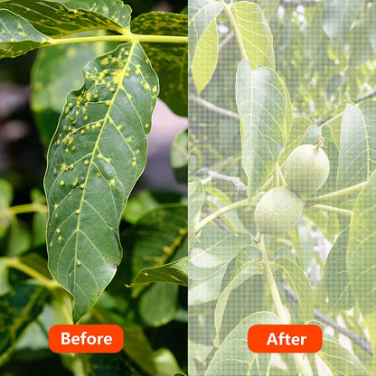 Alpurple Insect Bird Barrier Netting Mesh- 20 x 10 Feet Garden Bug Netting Plant Cover for Protect Plant Fruits Flower from Insect Bird Eating