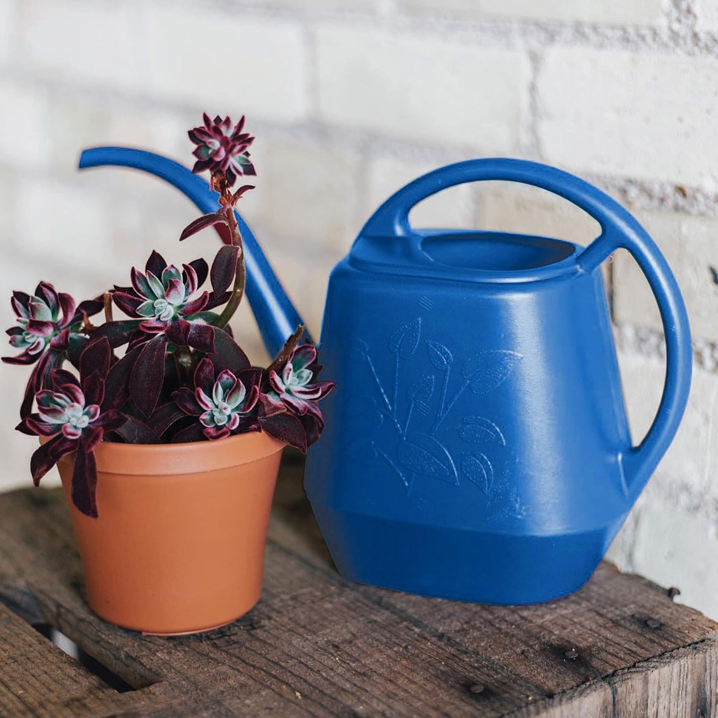 Watering Can Aqua Rite 1.1 Gallon (144 Fl Oz) Classic Blue