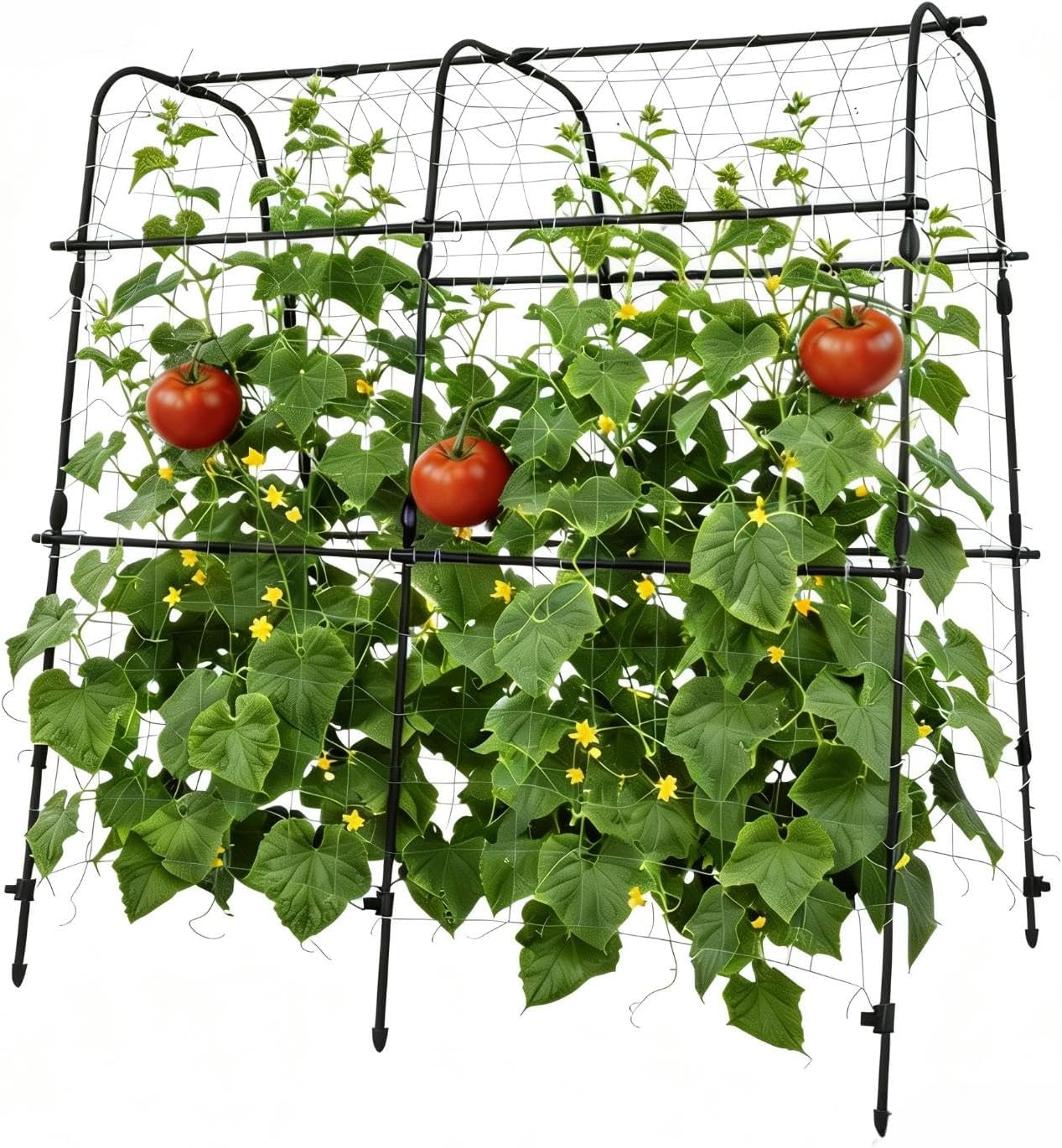 Garden Arch Trellis for Climbing Plants Outdoor, 6.73 ft x 2.62 ft x 2.95 ft Cucumber & Melon Trellis for Raised Beds, u-Shape Plant Support for Climbing Vegetables, Grapes & Roses, Black