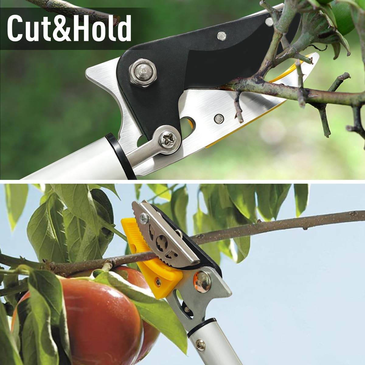 Cut and Hold Pruner Set, Lightweight 32-Inch Long Reach Pruner One-Handed Operation, Hold Long Reach Cut Rotating, 8.3" Hand Pruner for Branch Pruning, Fruit Picking, Prickly Plants & Roses