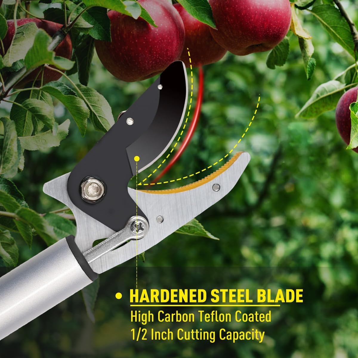 Cut and Hold Pruner Set, Lightweight 32-Inch Long Reach Pruner One-Handed Operation, Hold Long Reach Cut Rotating, 8.3" Hand Pruner for Branch Pruning, Fruit Picking, Prickly Plants & Roses