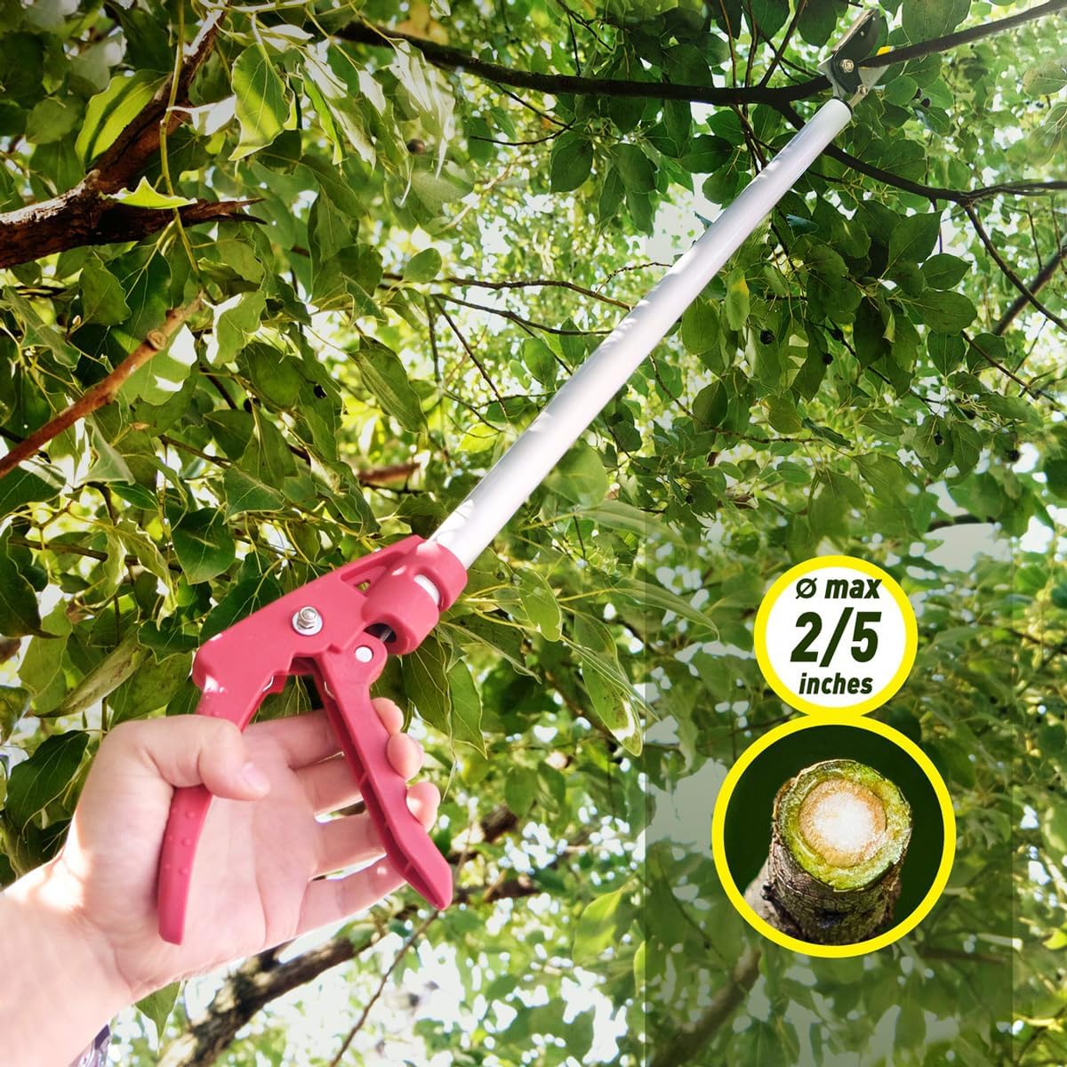 Cut and Hold Pruner Set, Lightweight 32-Inch Long Reach Pruner One-Handed Operation, Hold Long Reach Cut Rotating, 8.3" Hand Pruner for Branch Pruning, Fruit Picking, Prickly Plants & Roses