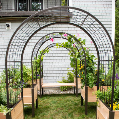Arch Trellis, 2' x 4'