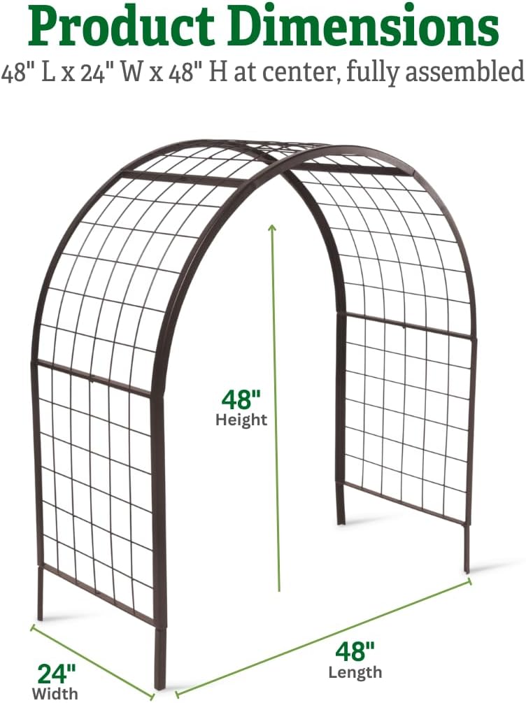Arch Trellis, 2' x 4'
