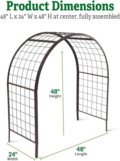 Arch Trellis, 2' x 4'