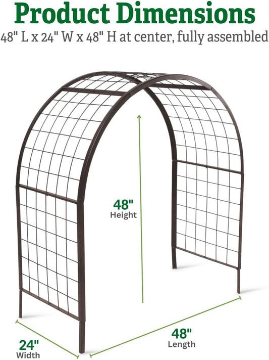 Arch Trellis, 2' x 4'