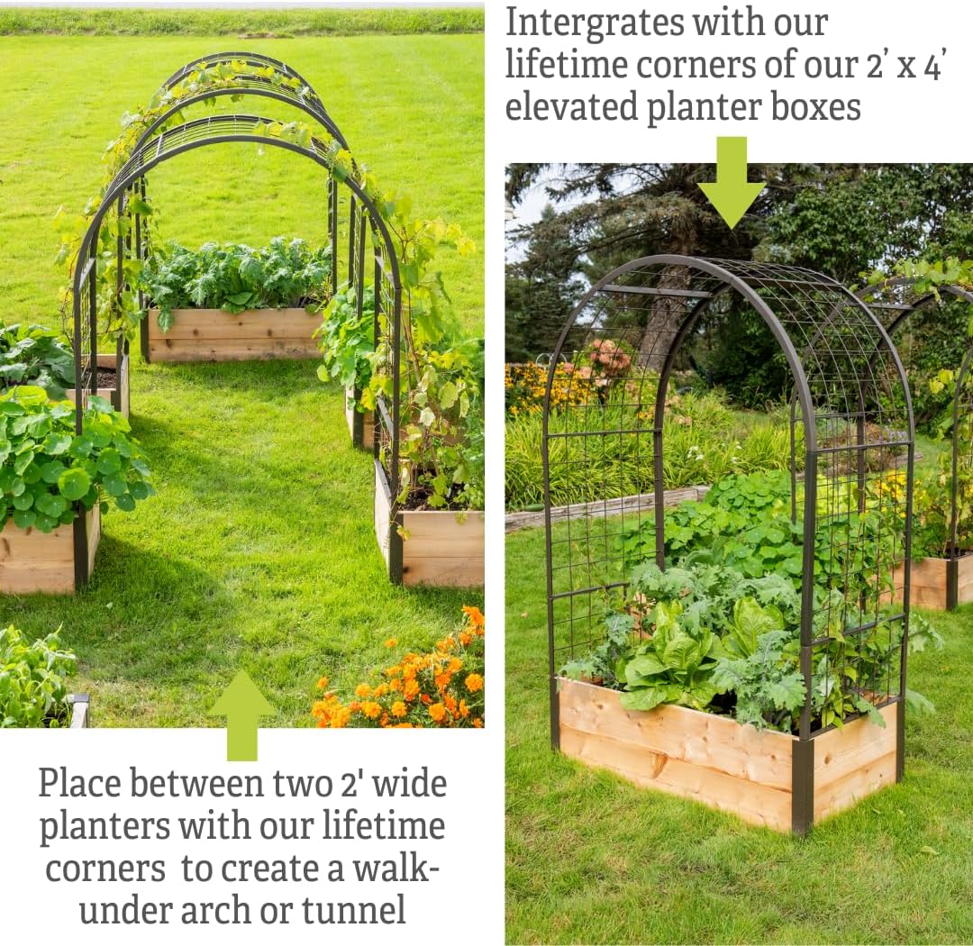 Arch Trellis, 2' x 4'