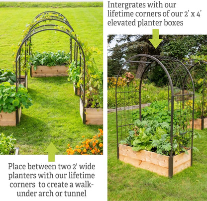Arch Trellis, 2' x 4'