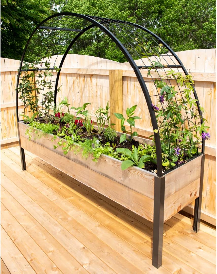 Arch Trellis, 2' x 4'