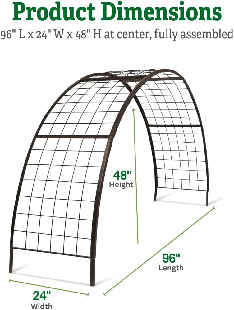 Arch Trellis, 2' x 4'