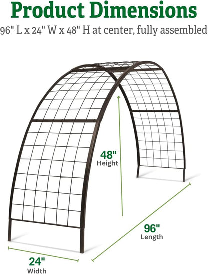 Arch Trellis, 2' x 4'