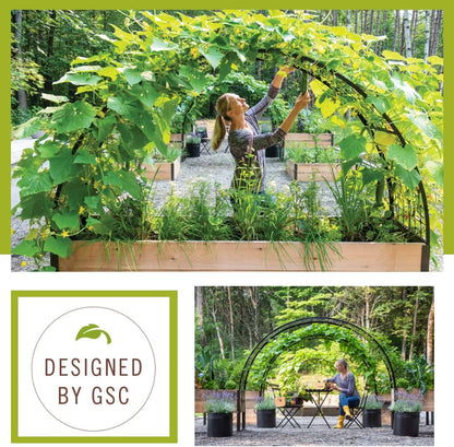 Arch Trellis, 2' x 4'