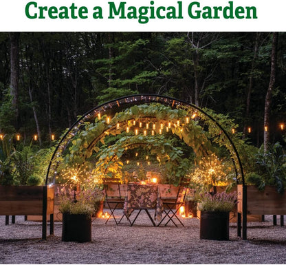 Arch Trellis, 2' x 4'