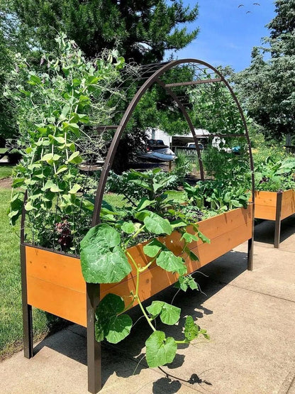 Arch Trellis, 2' x 4'