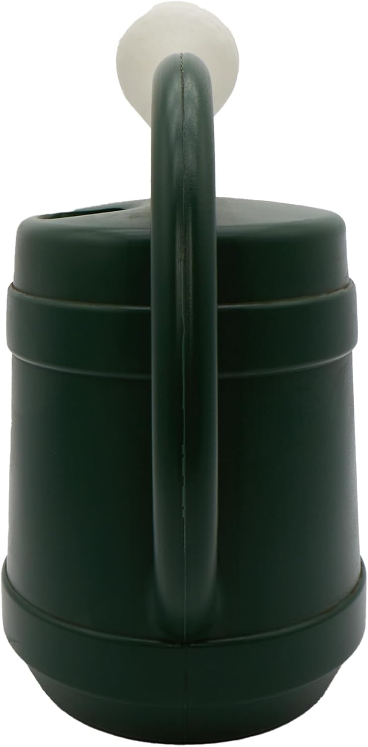 Standard Watering Can - Plant Watering Can - Small Plastic Garden Water Pot for Indoor Outdoor Plants Flowers , 2 Gallon, Green