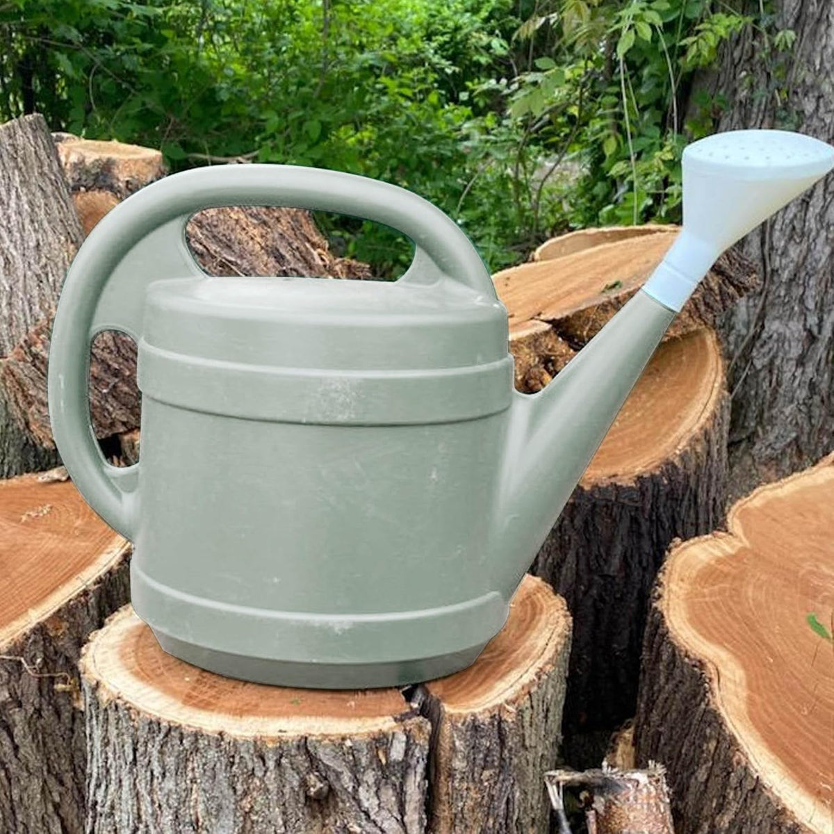 Standard Watering Can - Plant Watering Can - Small Plastic Garden Water Pot for Indoor Outdoor Plants Flowers , 2 Gallon, Green