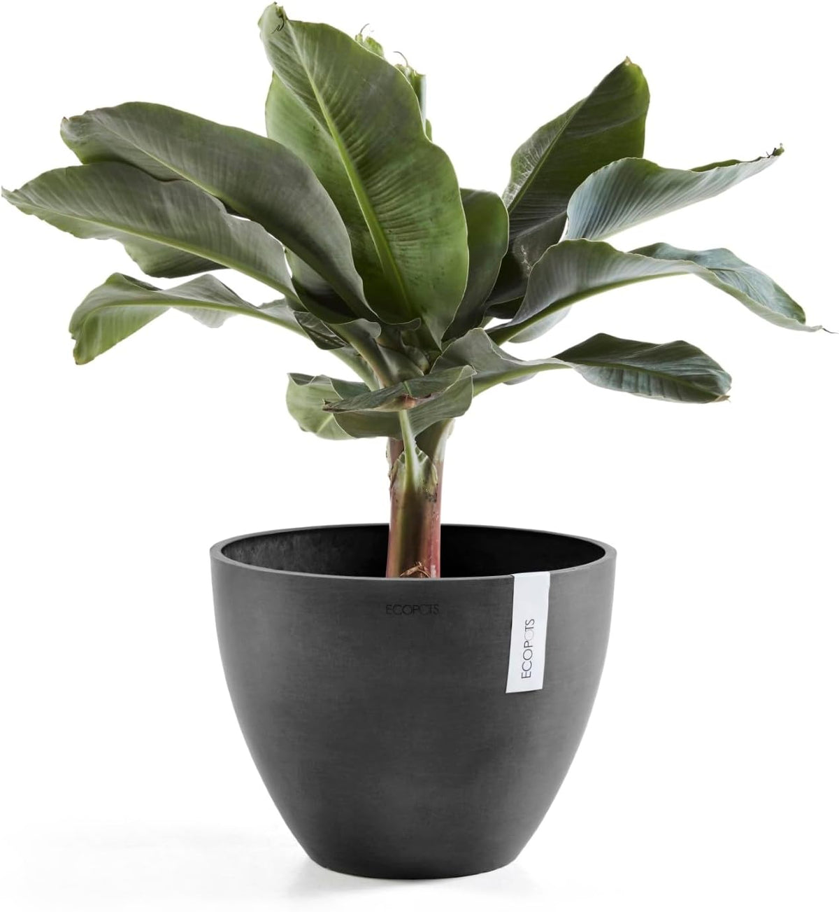 Antwerp Round Tapered Flower Planter, White Grey, 16"